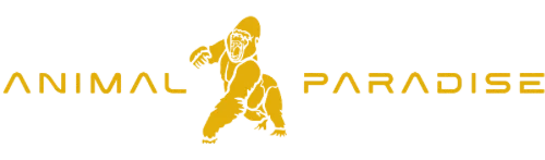 Animal Paradise